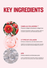 ROUND LAB Camellia Deep Collagen Firming Gel Mask 4ea
