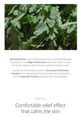 ROUND LAB Mugwort Calming Mask Sheet (10 Sheets)