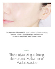 ROUND LAB Mugwort Calming Mask Sheet (10 Sheets)
