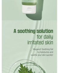 ROUND LAB Mugwort Calming Soothing Gel 150ml
