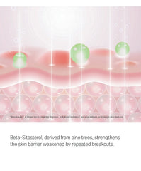 ROUND LAB Pine Calming Cica Cream Plus 60ml