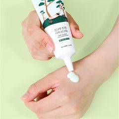 ROUND LAB Pine Calming Cica Sunscreen 40ml