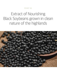 ROUND LAB Soybean Serum 50ml