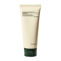 Pyunkang Yul ACNE Acne Cleansing Foam 100ml