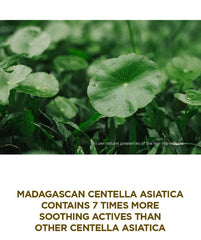 SKIN1004 Madagascar Centella Ampoule 100ml