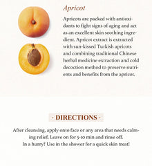 SKINFOOD Apricot Food Mask 120g