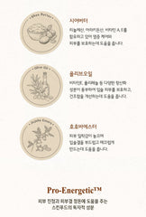 SKINFOOD Honey Sugar Food Mask Lip Sleeping Pack 21ml