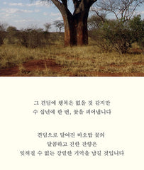 Toun28 Baobab Hair Perfume Mist 100ml