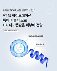 VT Hydrop Reedle Shot 100hL 2-Step Mask (4 Sheets)