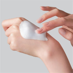 WJ Centelrest Rice Enzyme Deep Cleanser 120ml