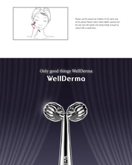 WellDerma Face Lifting Roller Dark Silver 1 piece