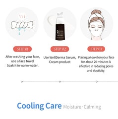 WellDerma Face Steam & Cooling Towel