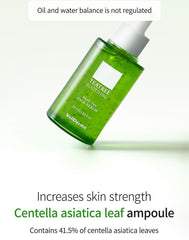 WellDerma Herb Tox Cica Serum 50ml & Mini Roller 1ea