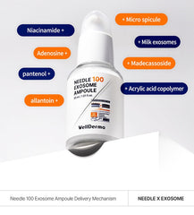 WellDerma Needle 100 Exosome Ampoule 30ml