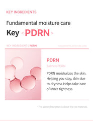 WellDerma PDRN Exosome Hydrating Gel Cream 100ml