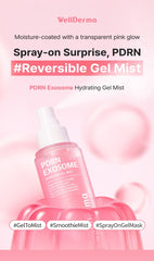 WellDerma PDRN Exosome Hydrating Gel Mist 100ml