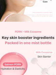 WellDerma PDRN Exosome Hydrating Gel Mist 100ml