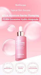 WellDerma PDRN Exosome Hydro Ampoule 30ml