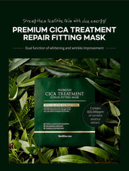 WellDerma Premium Cica Treatment Repair Fitting Mask 4 sheets
