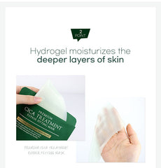 WellDerma Premium Cica Treatment Repair Fitting Mask 4 sheets