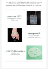 WellDerma Premium Cica Treatment Repair Fitting Mask 4 sheets