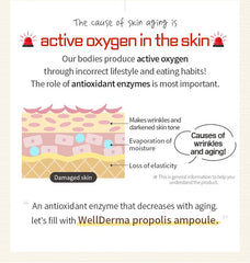 WellDerma Propolis 1000 Energy Ampoule 50ml