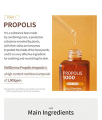 WellDerma Propolis 1000 Energy Ampoule 50ml