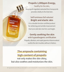 WellDerma Propolis 1000 Energy Ampoule 50ml