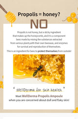 WellDerma Propolis 1000 Energy Ampoule 50ml