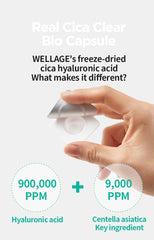 WELLAGE Real Cica Calming One Day Kit 7ea