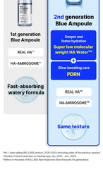 Wellage Real Hyaluronic Blue 100 Ampoule 60ml