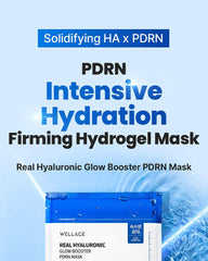 Wellage Real Hyaluronic Glow Booster PDRN Mask (5 sheets)