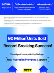 Wellage Real Hyaluronic One Day Kit 7ea