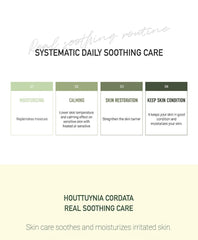 Daymellow Houttuynia Cordata Real Ampoule Mask 5ea