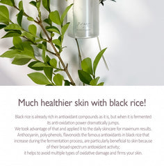 haruharu wonder Black Rice Hyaluronic Toner (Fragrance Free) 150ml