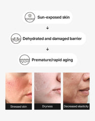 iUNIK Beta Glucan Barrier Sunscreen 60ml